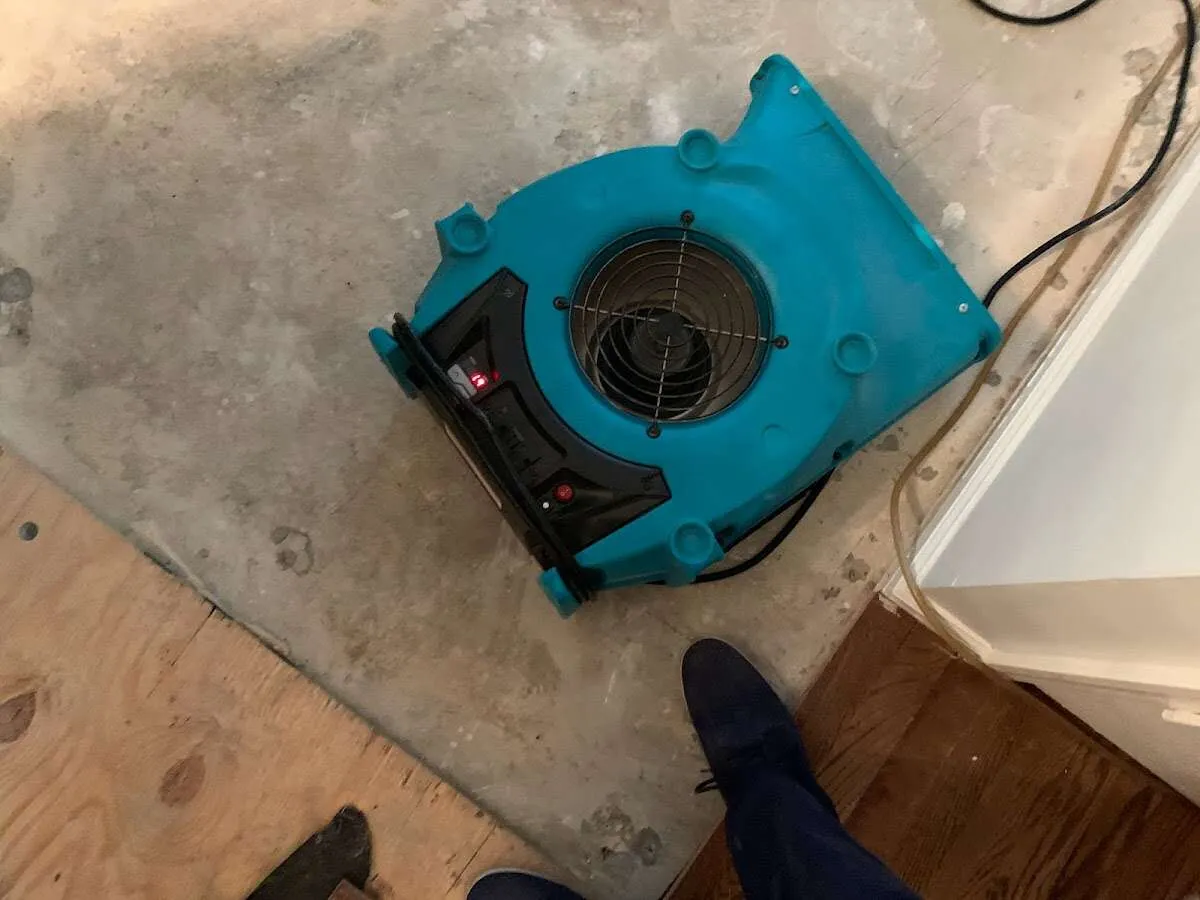 Air mover drying subfloor during Leak Detection & Repair in Milan
